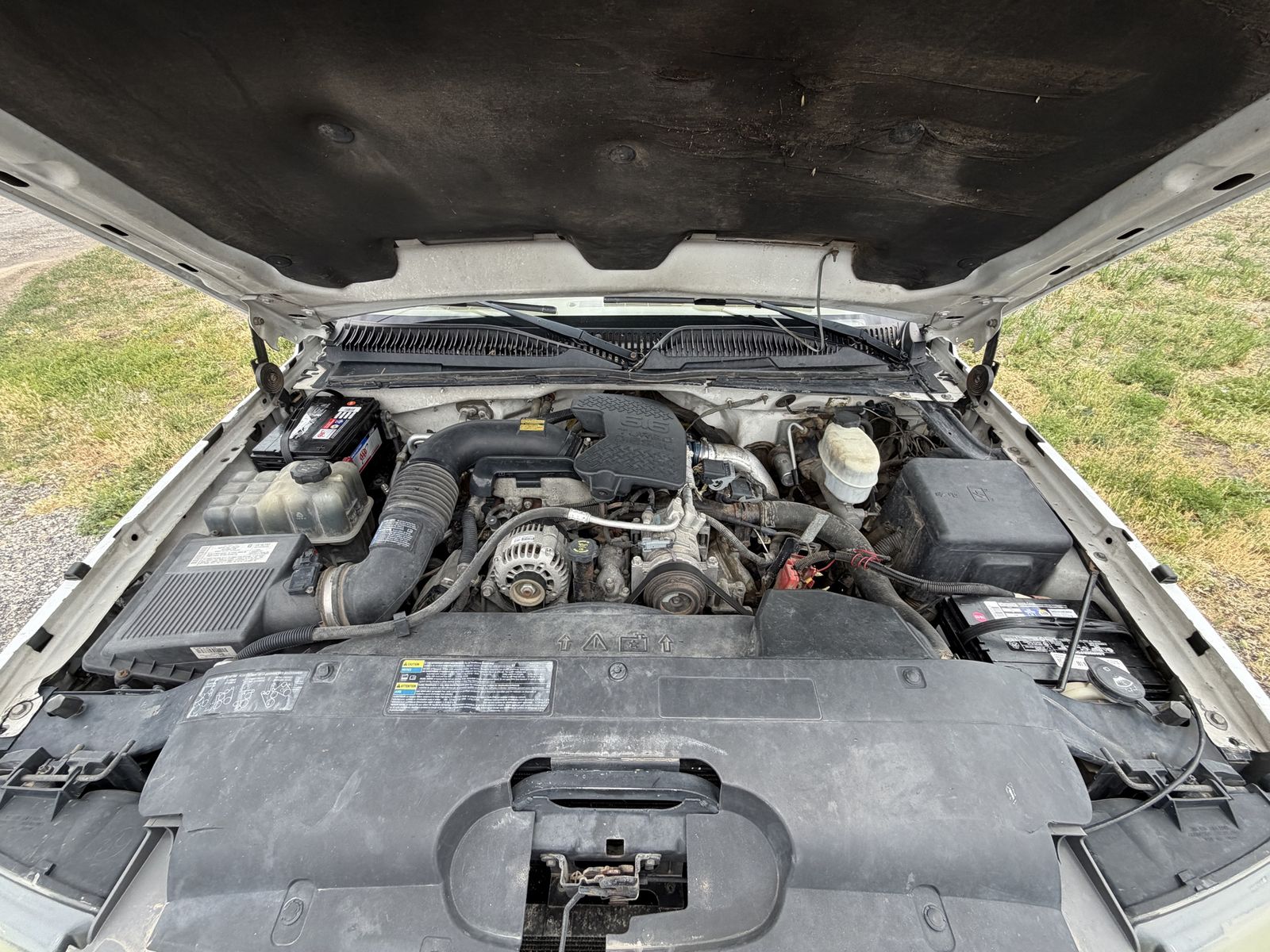 Main image 7