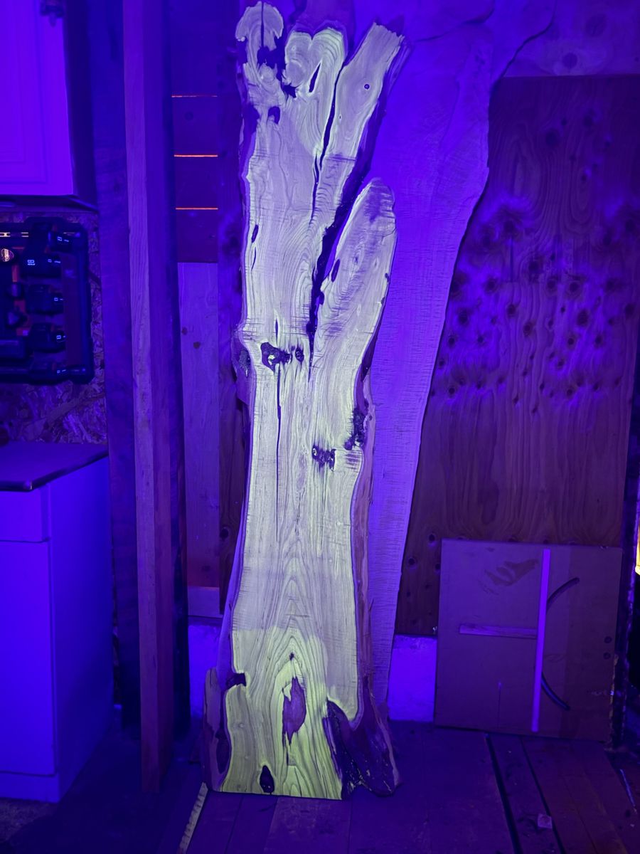 Main image 4