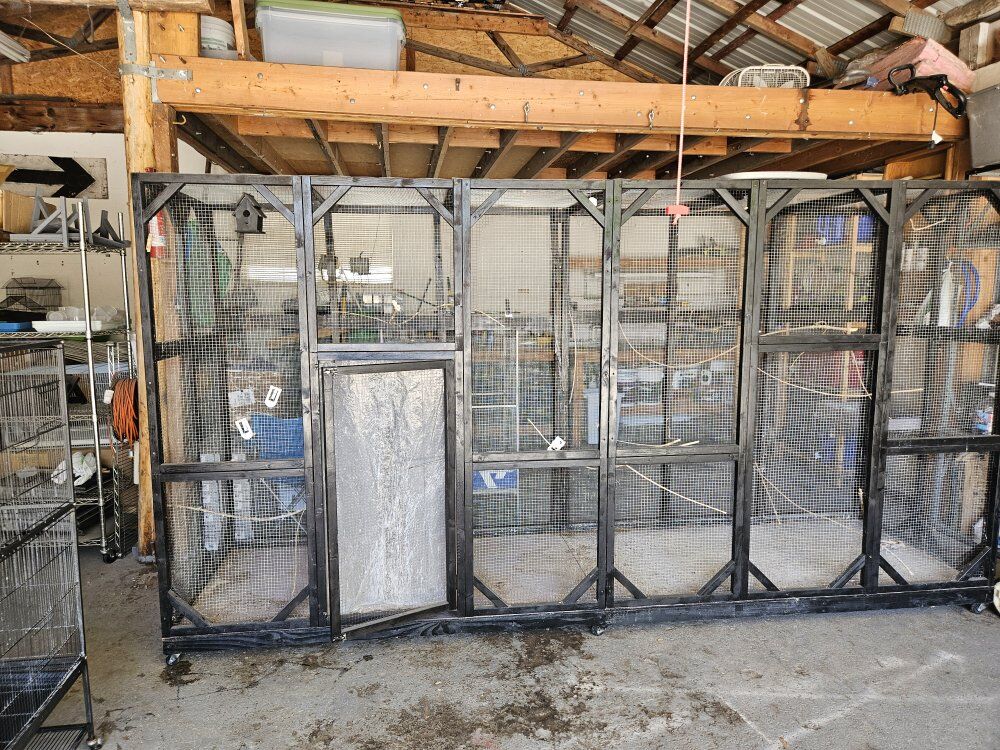 XXXL Avairy on wheels,