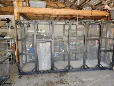 XXXL Avairy on wheels,