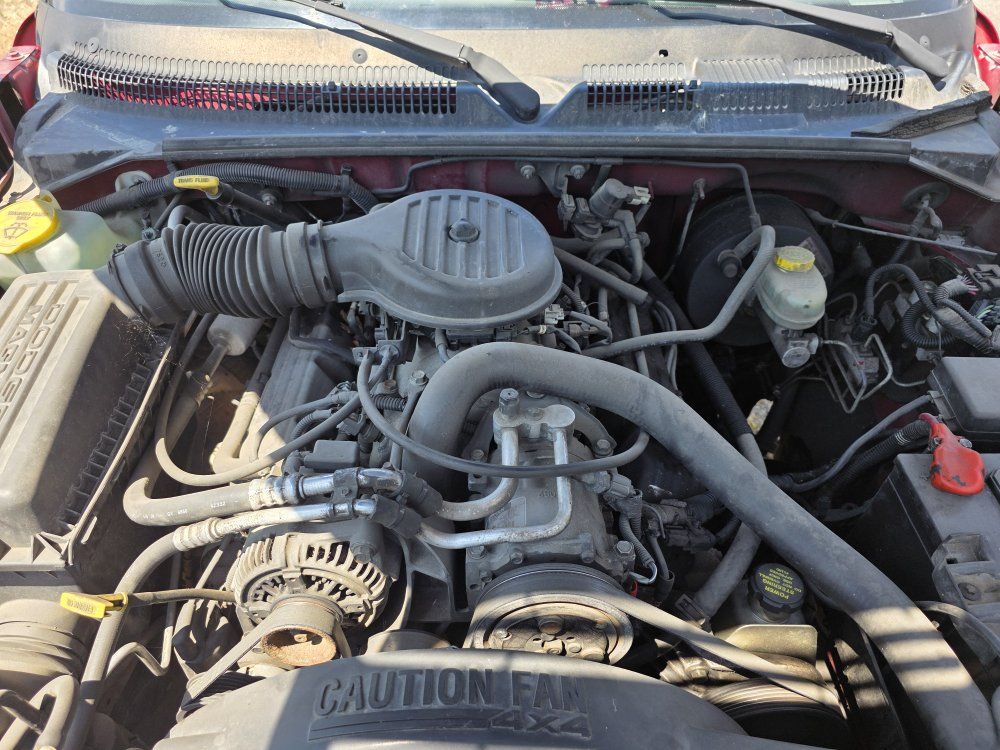 Main image 3