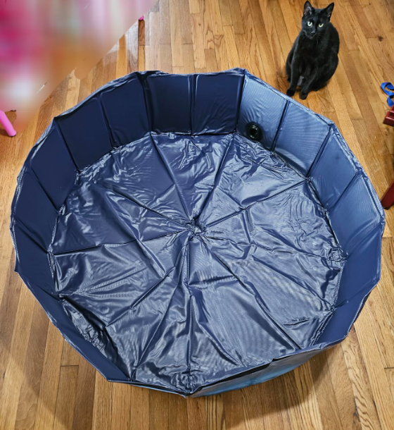 Main image 6