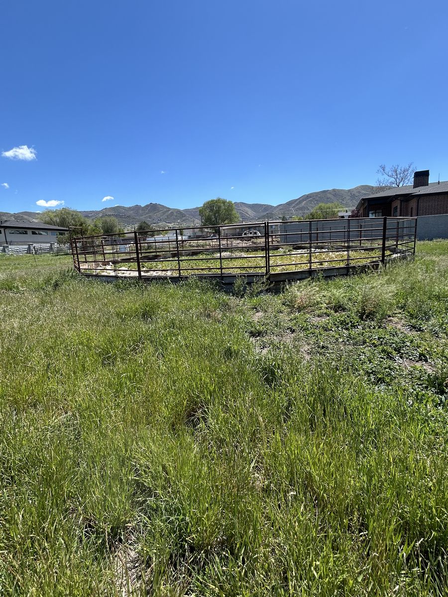 Livestock panels