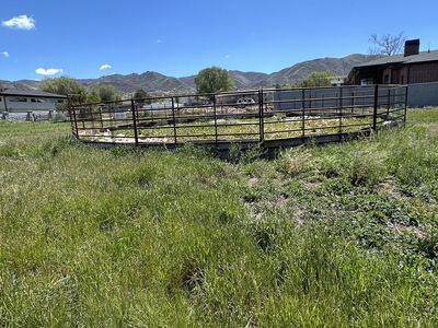 Livestock panels