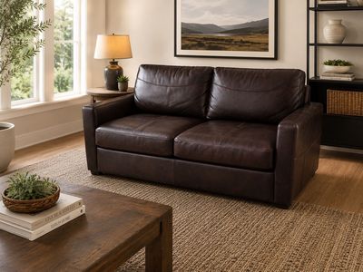 Leather Sleeper Sofa Couch– Pull-Out Bed