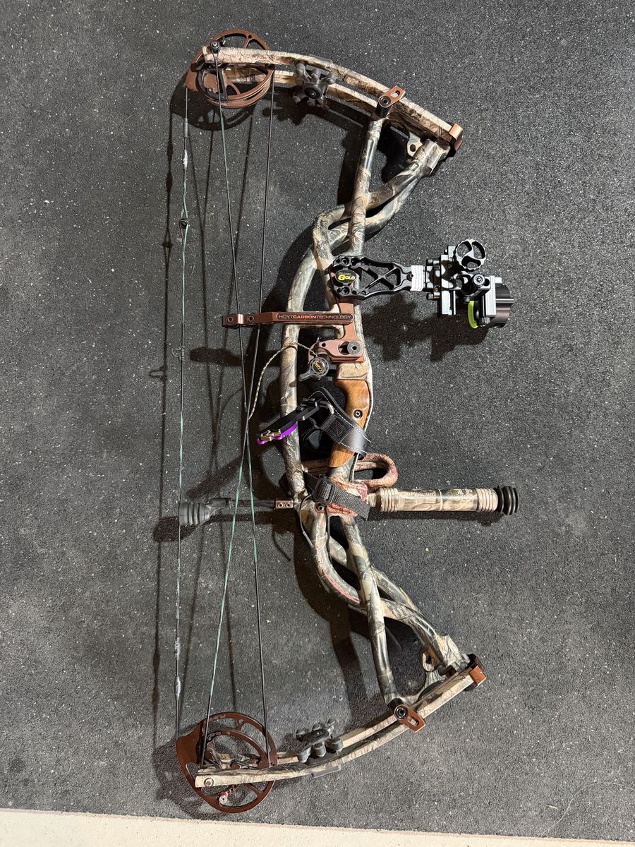 Hoyt Carbon Element Bow