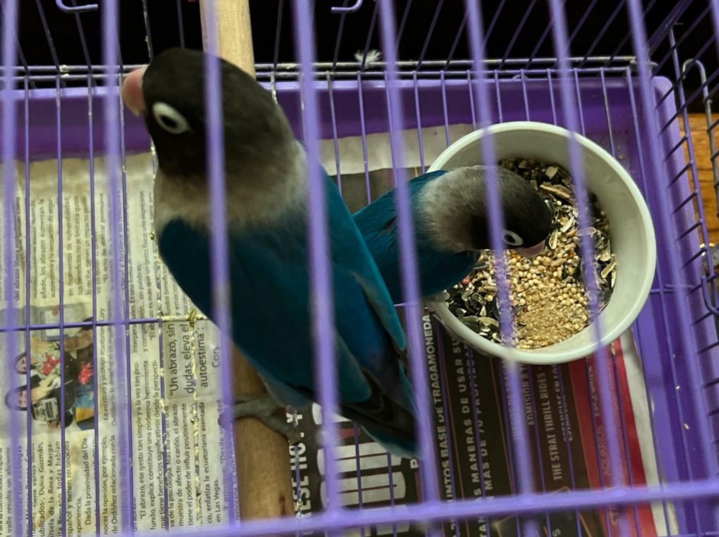 Main image 2