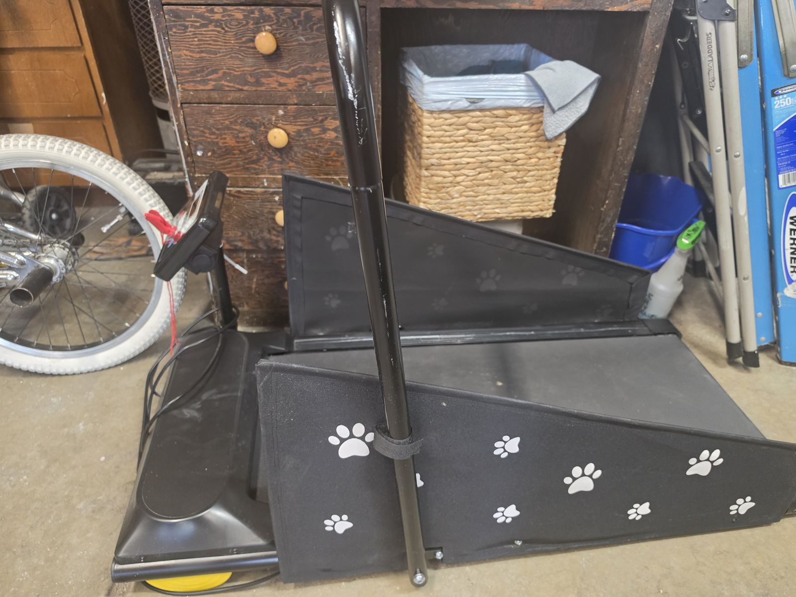 Doggy treadmill