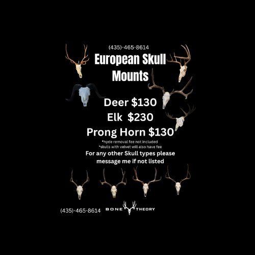 EURO MOUNTS