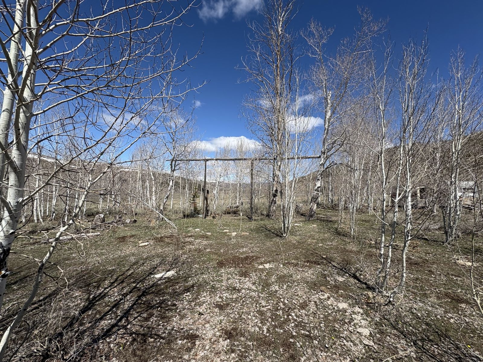 Main image 6
