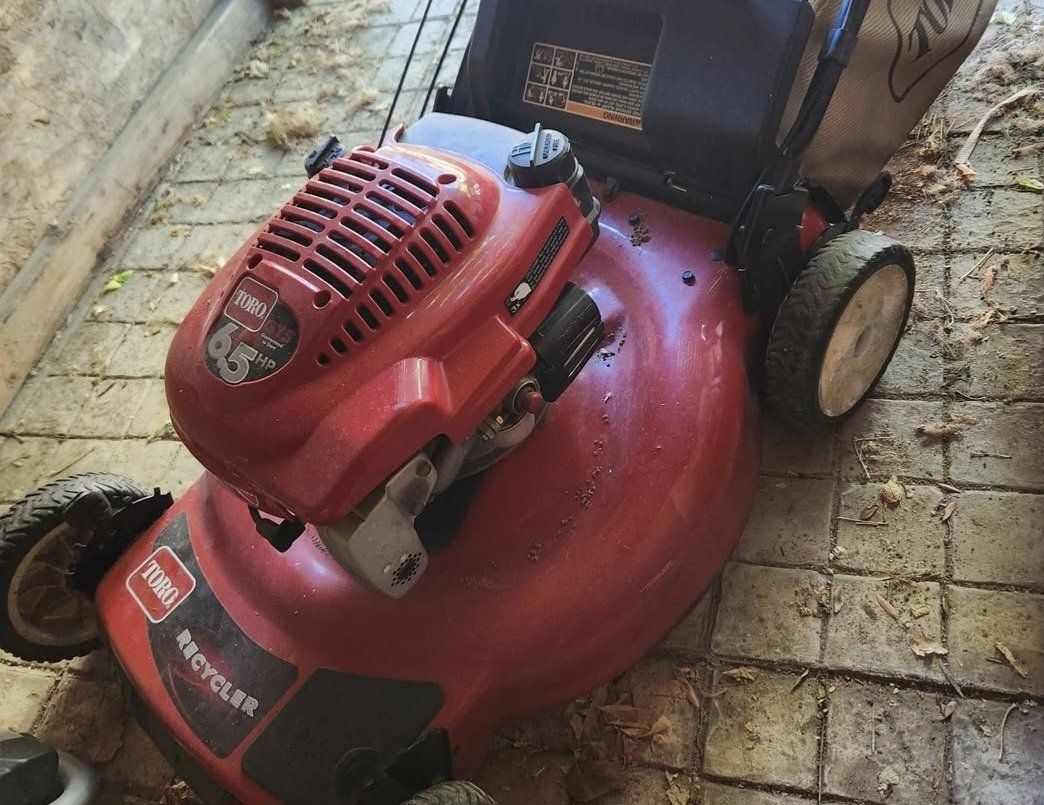 toro