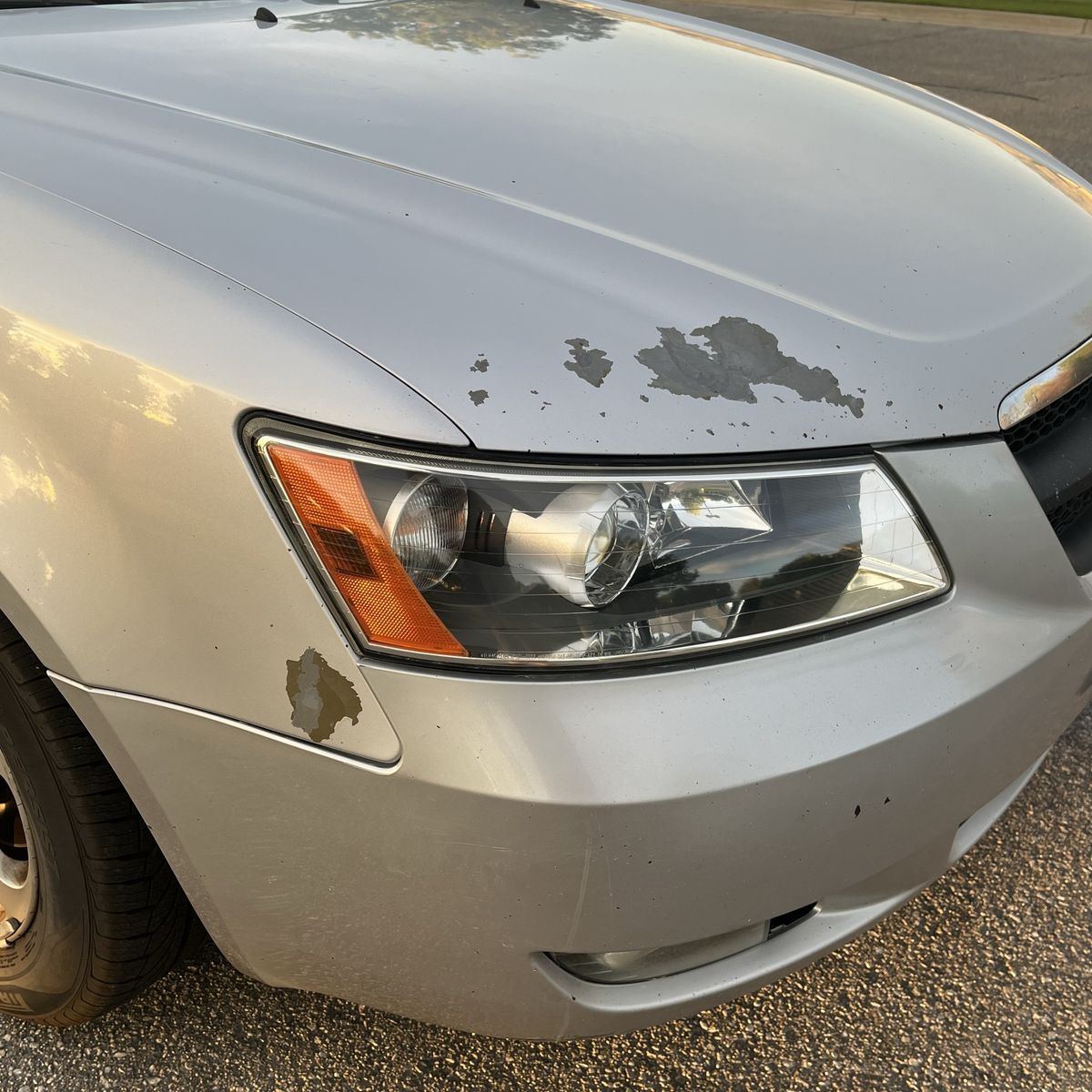 Main image 28