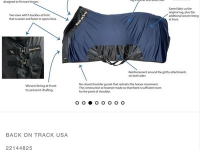 Back on Track Royal Mesh Sheet Deluxe Horse Blanket - Blue