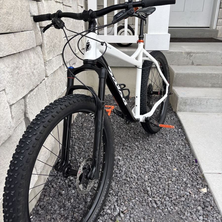Salsa Mukluk Trail / Fat Bike
