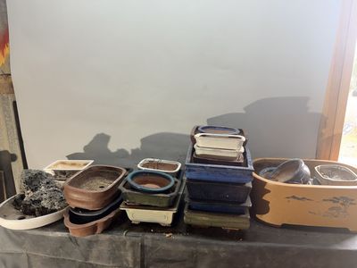 Assorted Ceramic Bonsai Pots and Planting Trays Collection
