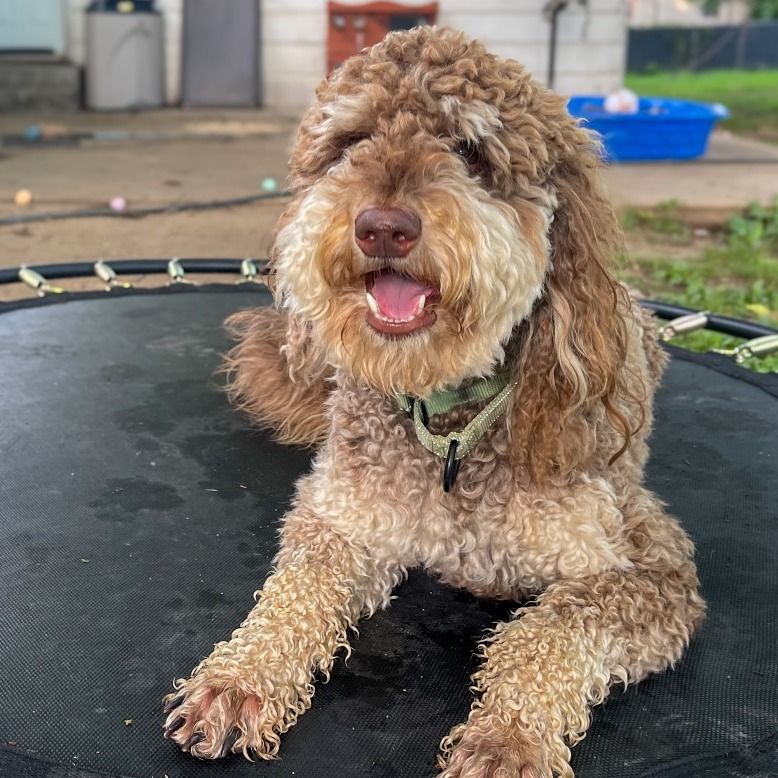 Hello my name is Chip