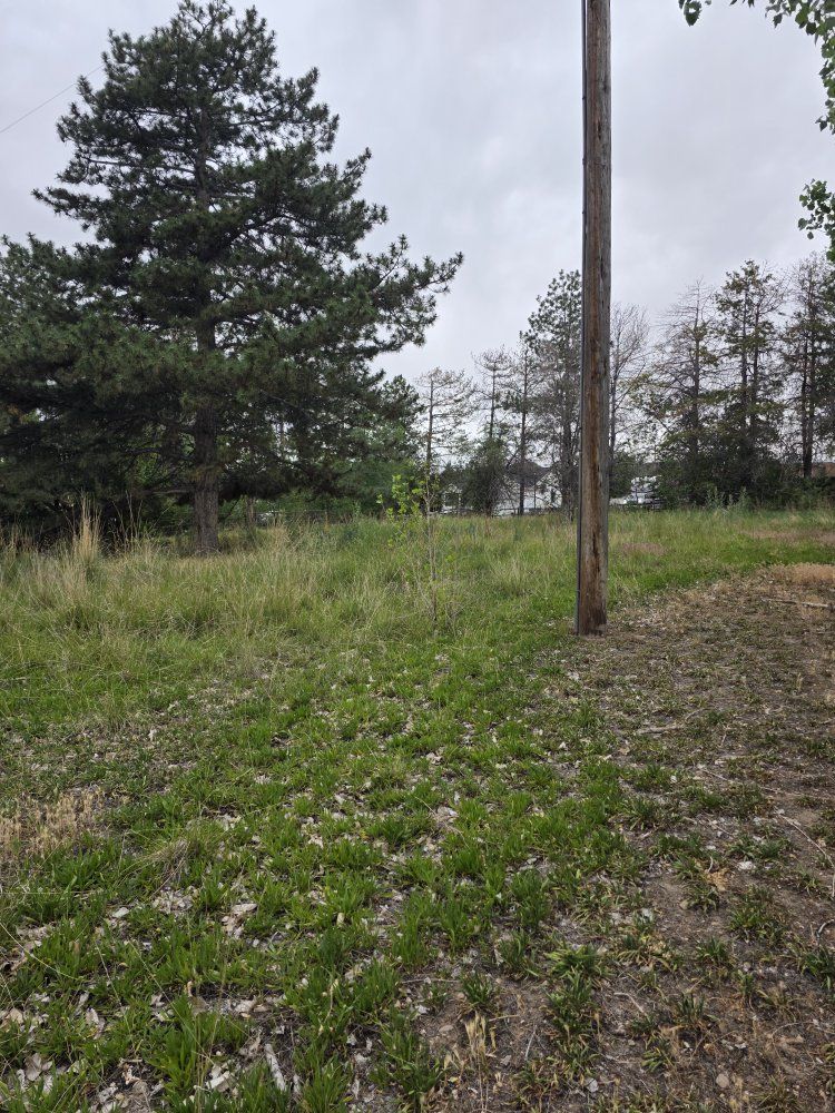 Horse Pasture