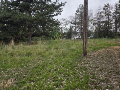 Horse Pasture