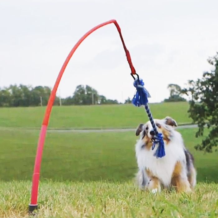 Tether-Tug Outdoor Tethered Pole Tug Toy for Dogs - Interactive Play
