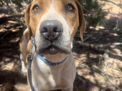 Hello my name is Daisy