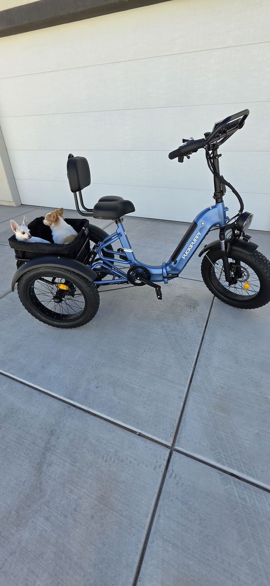 New Etrike