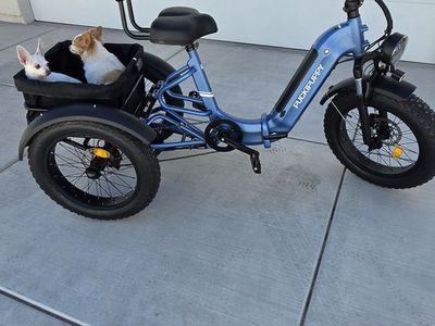 New Etrike