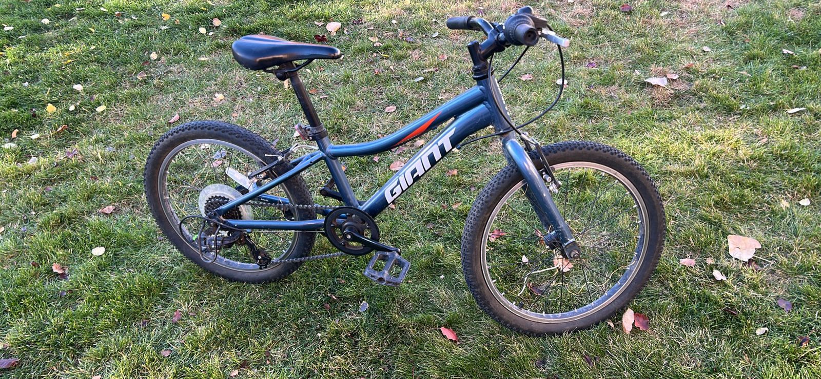 Giant Youth Mountain Bike 20 Inch Wheel 7 Speed Blue