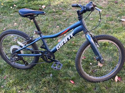 Giant Youth Mountain Bike 20 Inch Wheel 7 Speed Blue