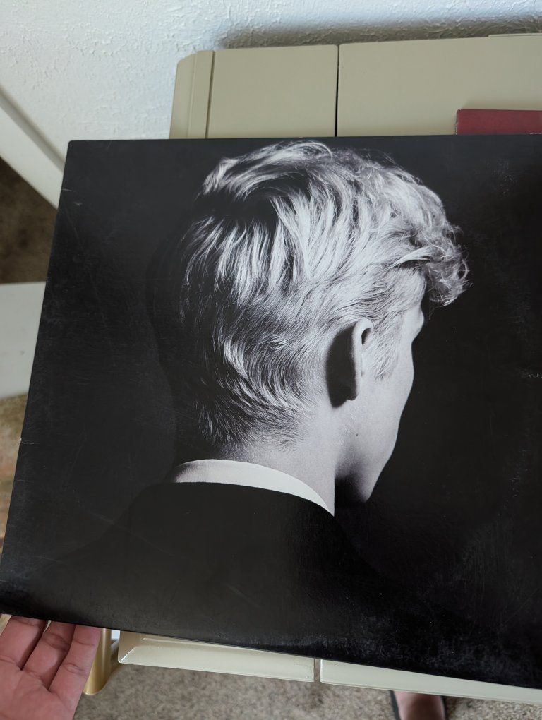 Troy Sivan, Russ, Shawn Mendes Vinyls $5 each $10 together