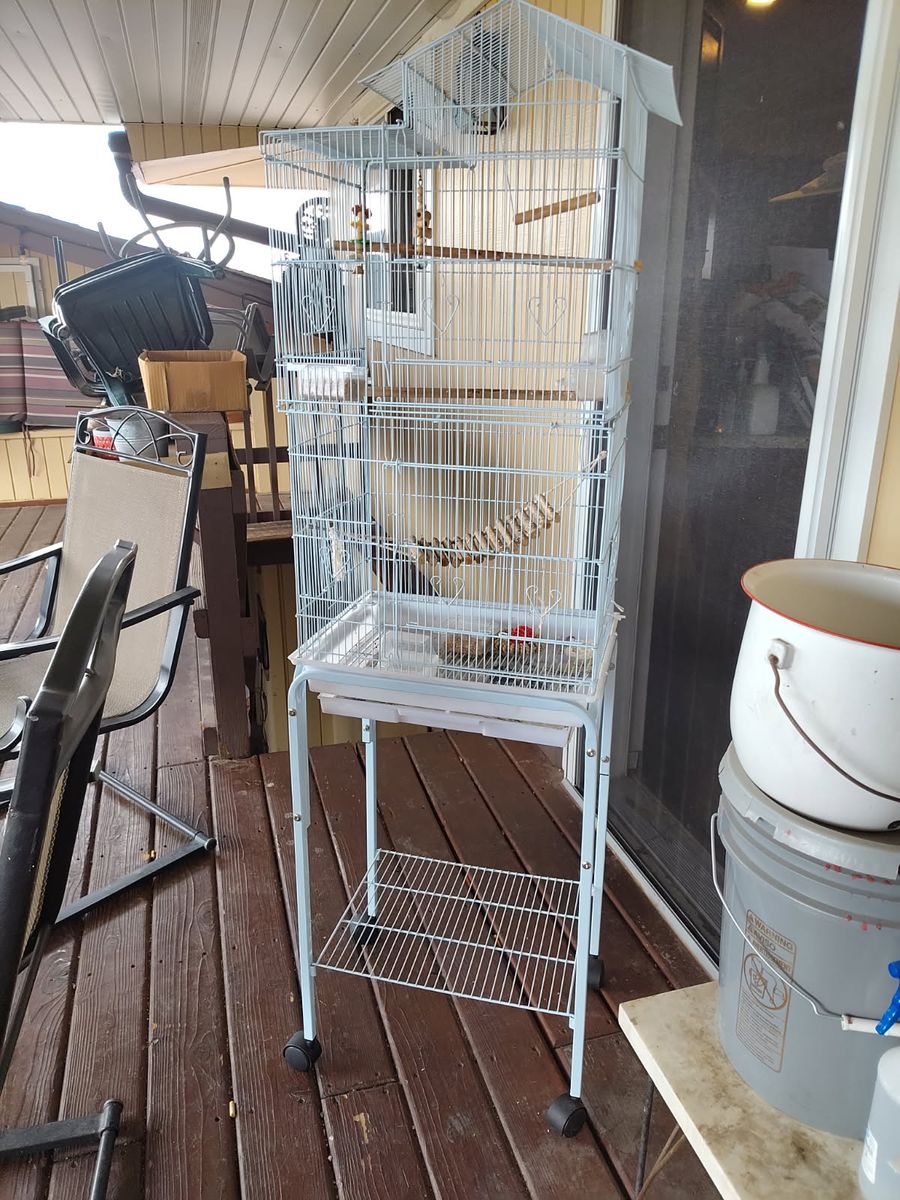 Birdcage