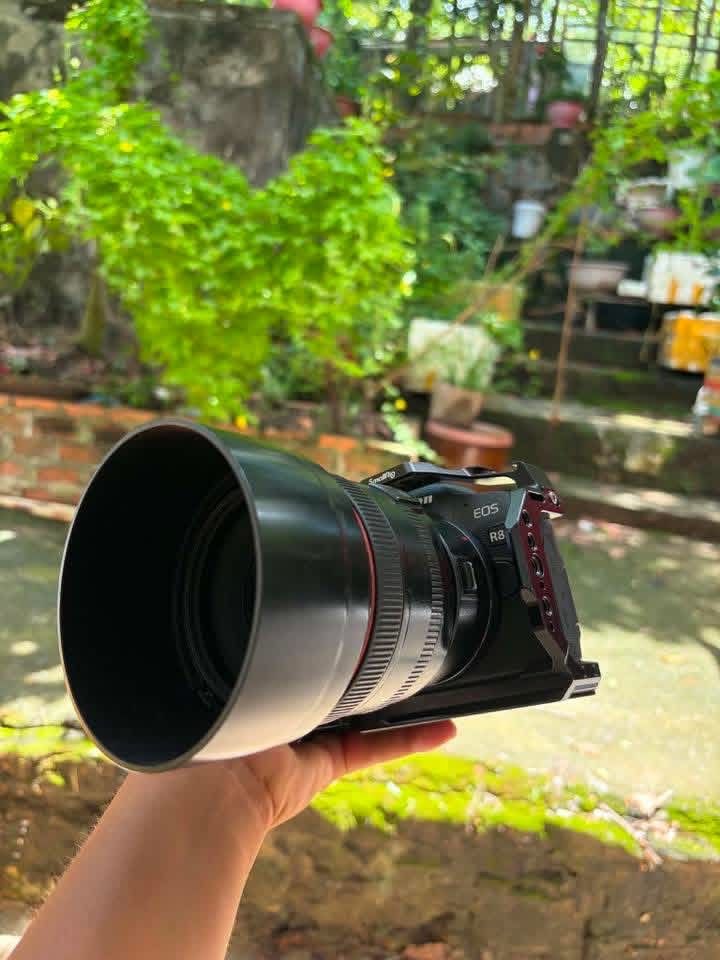 Canon R8,