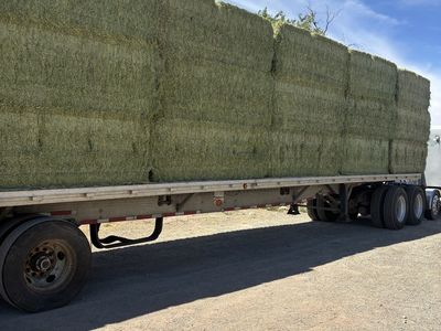 2nd cutting high quality alfalfa hay