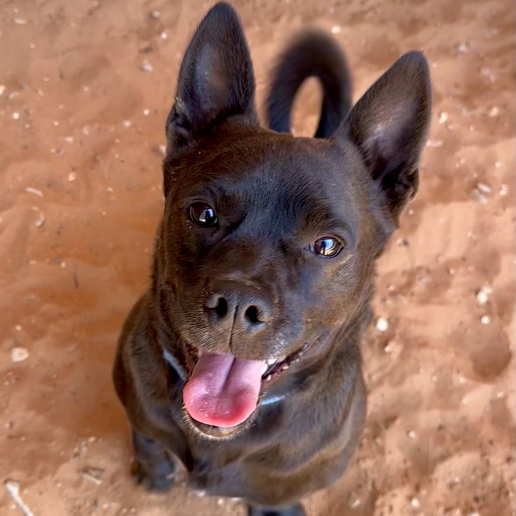 Hello my name is Osso