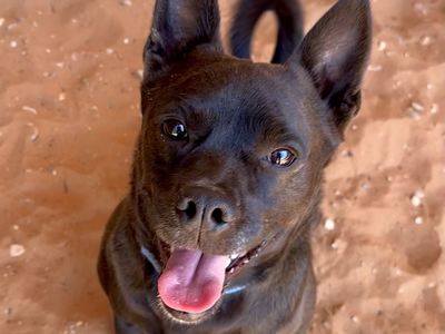 Hello my name is Osso