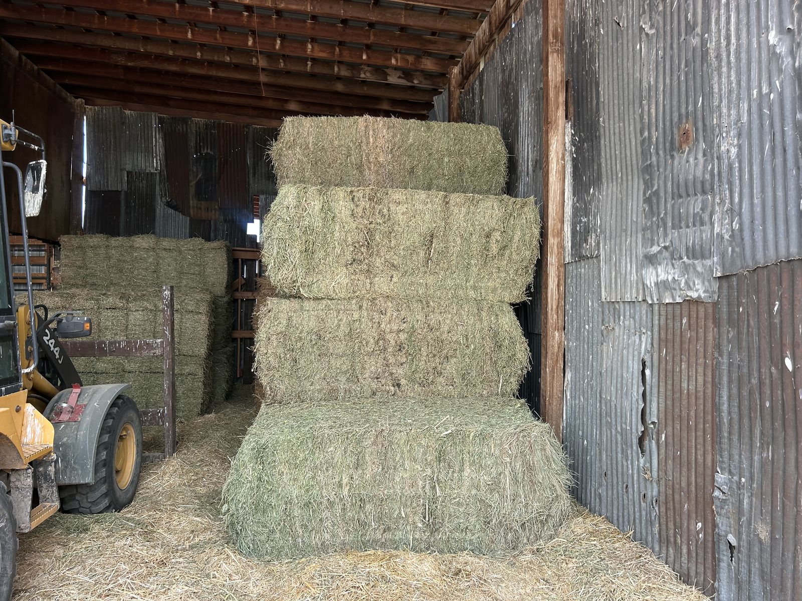 Feeder Alfalfa