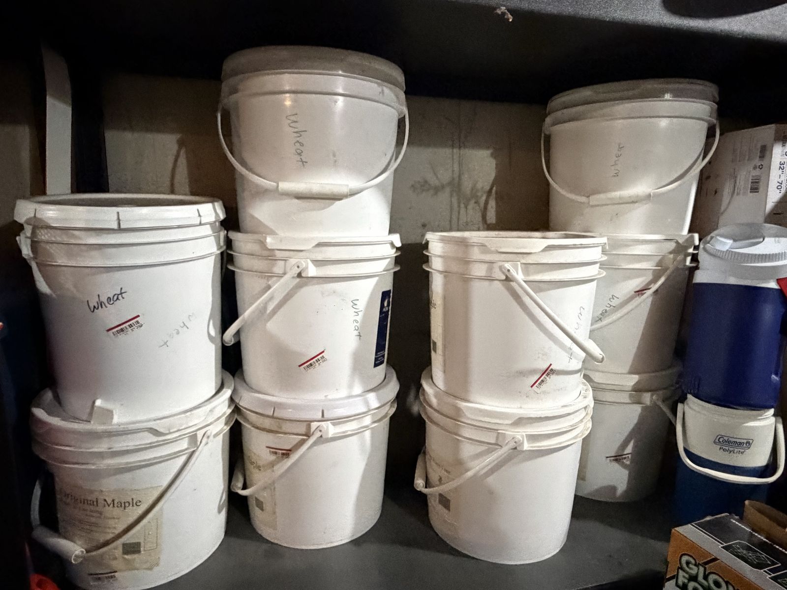 Bulk Emergency Food Storage: Wheat Grain (Red & White Varieties) - 5 Gallon Buckets