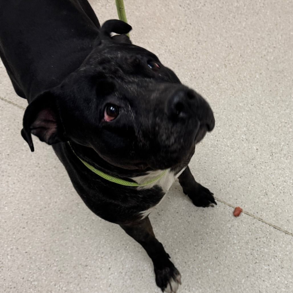 Hello my name is Medusa Most Beautiful