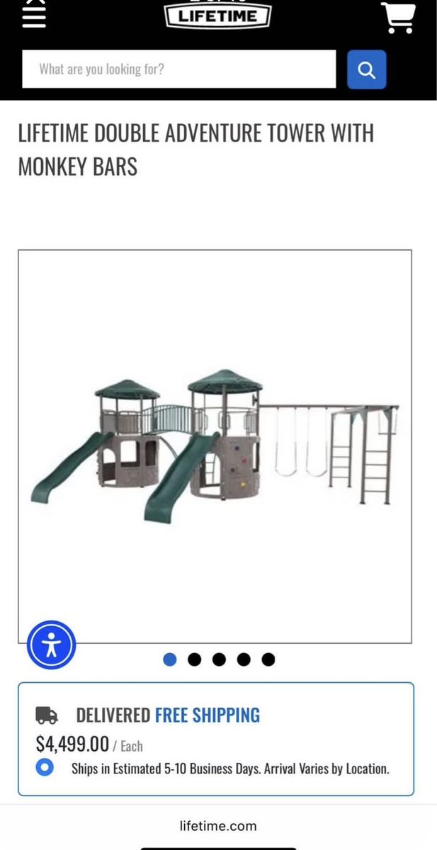 Lifetime Playset (Price Negotiable)