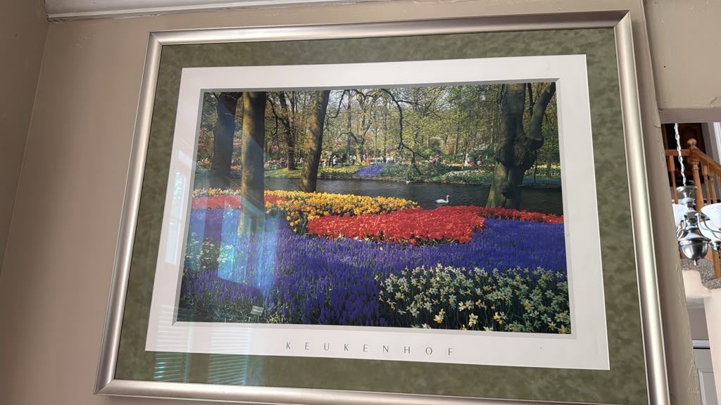 Decorative Framed flower Wall Art