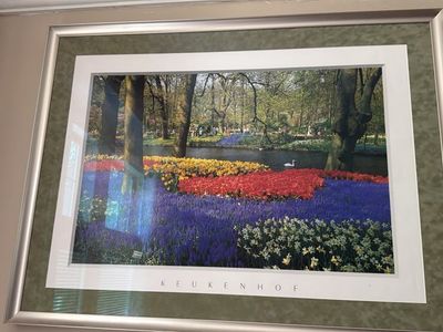 Decorative Framed flower Wall Art