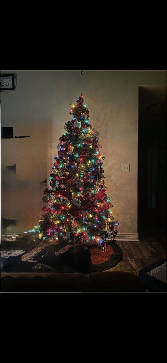 Free Christmas tree
