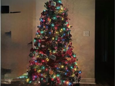 Free Christmas tree