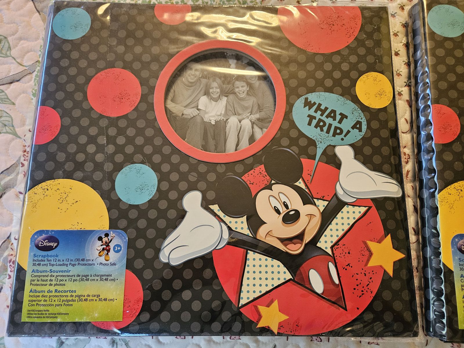 Disneyland albums