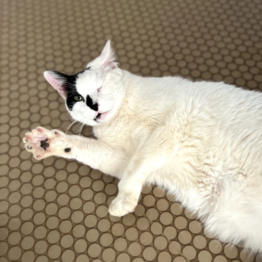 Hello my name is Armstrong