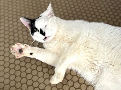 Hello my name is Armstrong