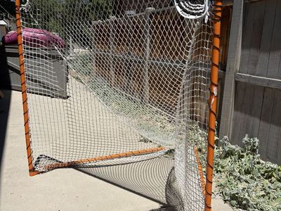 Lacrosse Goal