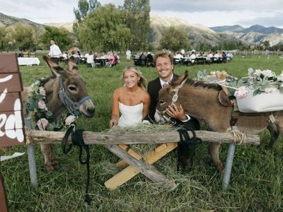 Mini Donkeys