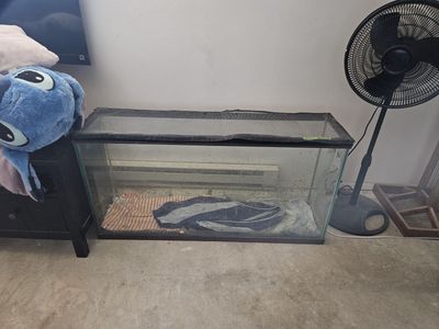 FREE Large glass tank