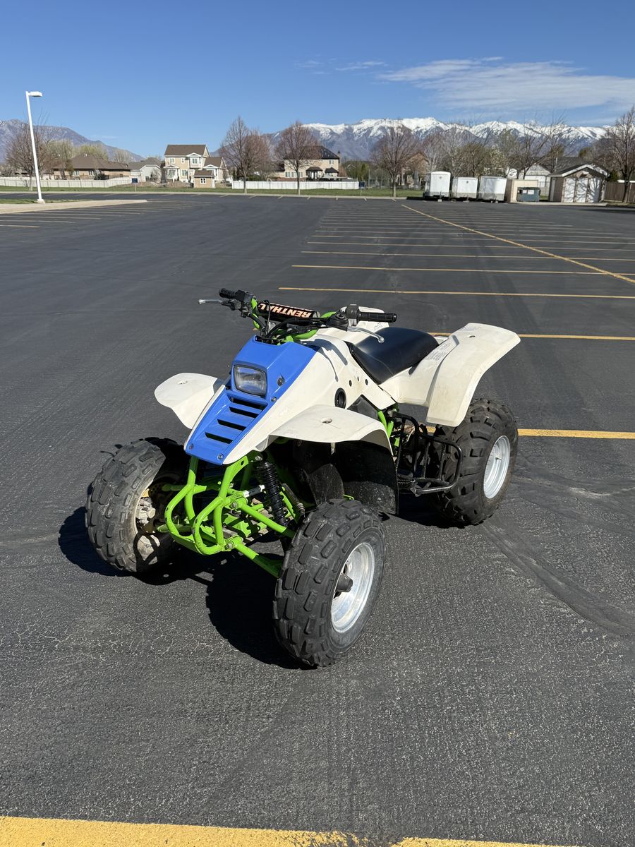 1993 Kawasaki Moiave 250