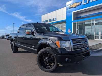 2011 FORD F150 Platinum